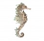 Crystal Seahorse Art Print – folk-stone.com